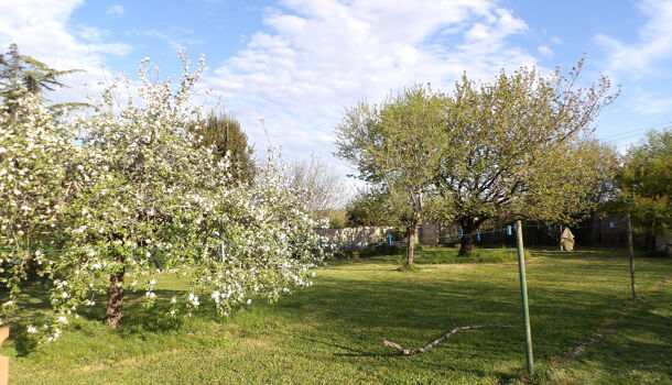 Villa / Maison 9 pièces  à vendre Saint-Savinien 17350