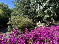 Arles Chabourlet – Maison de plain-pied lumineuse avec jardin arboré — photo 2