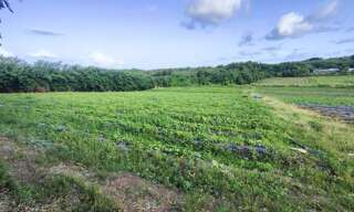 Terrain  2000 m² à vendre à Le Vauclin (97280)