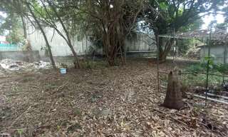 Terrain  739 m² à vendre à Saint-Pierre (97432)