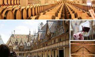 Maison 68 m² en viager Beaune (21200)