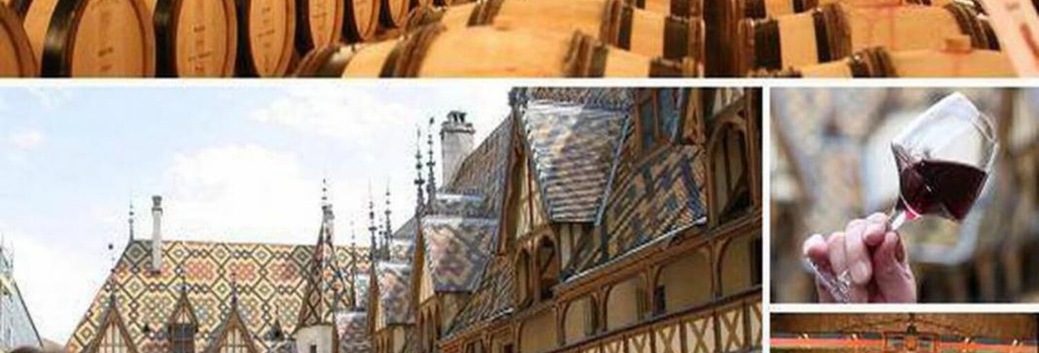 Maison 68 m² en viager Beaune (21200)