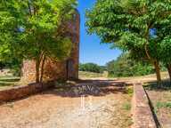 DOMAINE 220 HECTARES - AIX EN PROVENCE - SAINTE VICTOIRE — photo 3