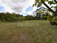 Maison 3 chambres sur plus de 4900 m2 de jardin — photo 4