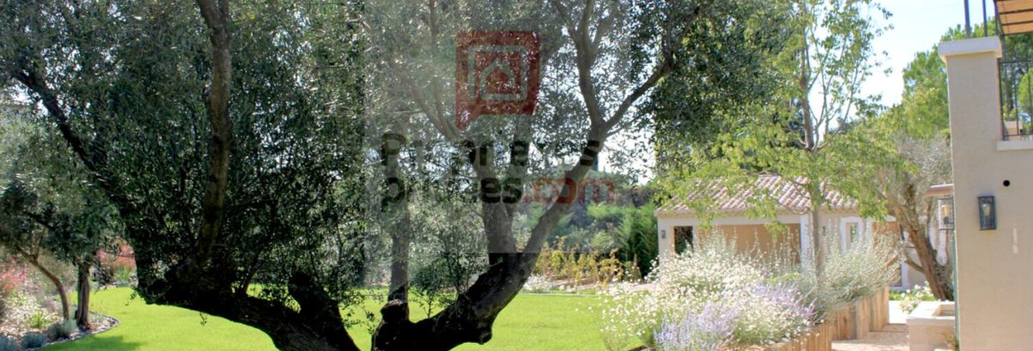 Maison 8 Pièces 300 m² à vendre à Saint-Rémy-de-Provence (13210)