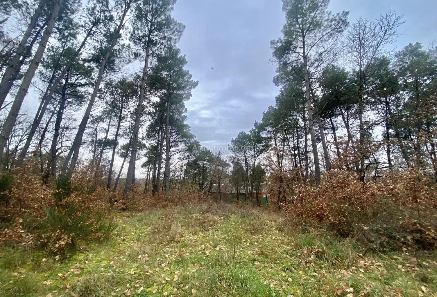 Terrain à bâtir — photo 1