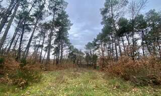 Terrain  1203 m² à vendre à Montans (81600)