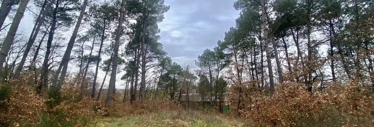 Terrain  1203 m² à vendre à Montans (81600)