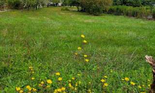 Terrain  1674 m² à vendre à Saint-Aulaye-Puymangou (24410)