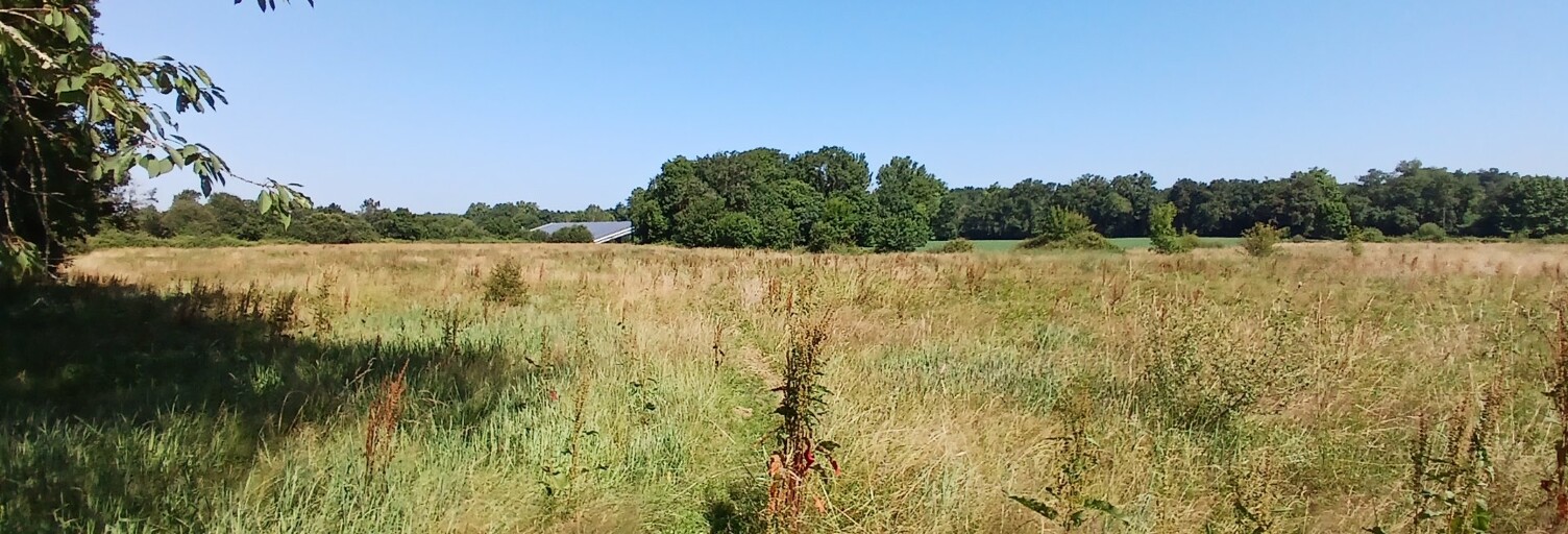 Maison 7 Pièces 220 m² à vendre à Mimbaste (40350)