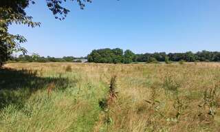 Maison 7 Pièces 220 m² à vendre à Mimbaste (40350)