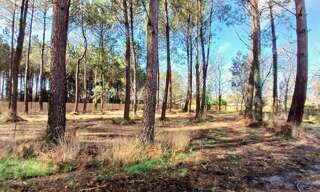 Terrain  950 m² à vendre à Seignosse (40510)