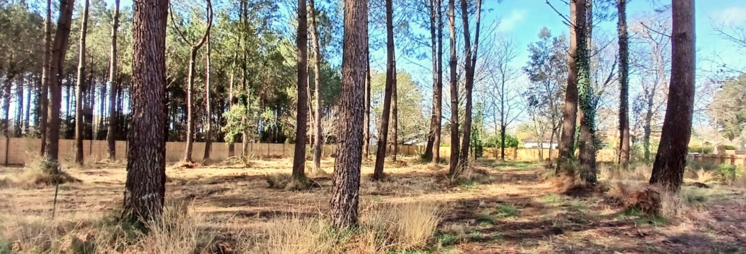 Terrain  950 m² à vendre à Seignosse (40510)