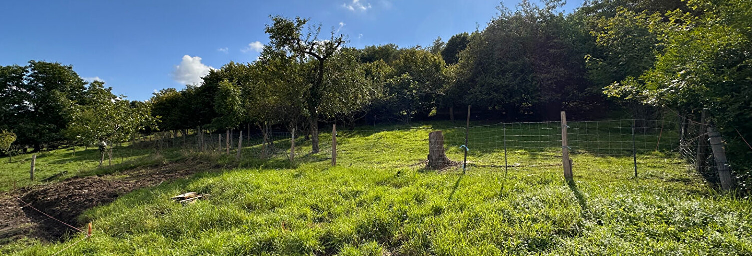 Terrain  750 m² à vendre à Soultz-Haut-Rhin (68360)