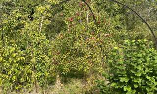 Terrain  1541 m² à vendre à Gerbéviller (54830)