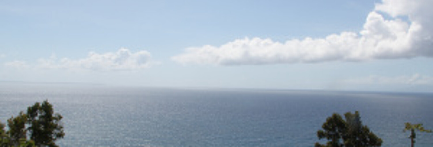 Appartement 3 Pièces 55 m² à louer à Capesterre-Belle-Eau (97130)