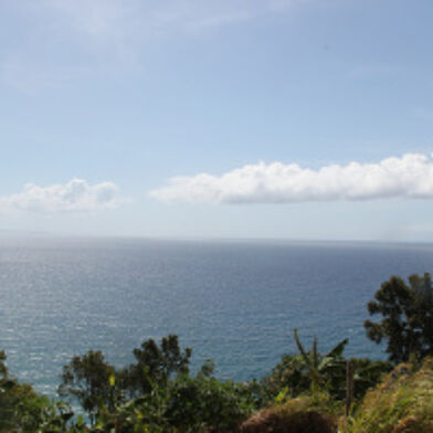 Appartement 3 pièces 600 €