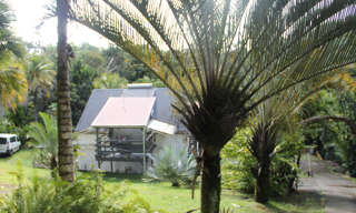 Appartement 3 Pièces 55 m² à louer à Petit-Bourg (97170)