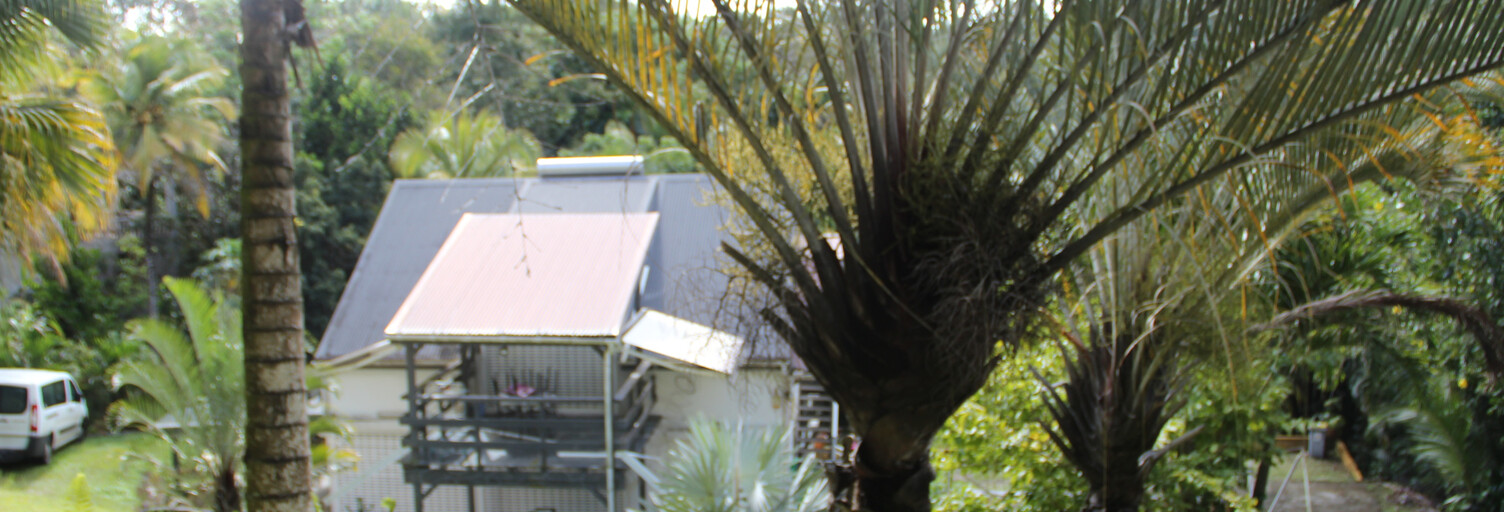 Appartement 3 Pièces 55 m² à louer à Petit-Bourg (97170)