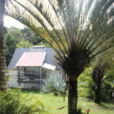 Appartement 3 pièces 950 €