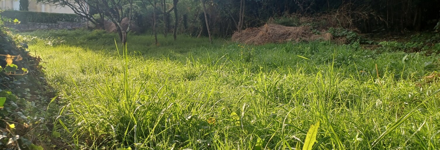 Terrain  391 m² à vendre à Pujols (33350)