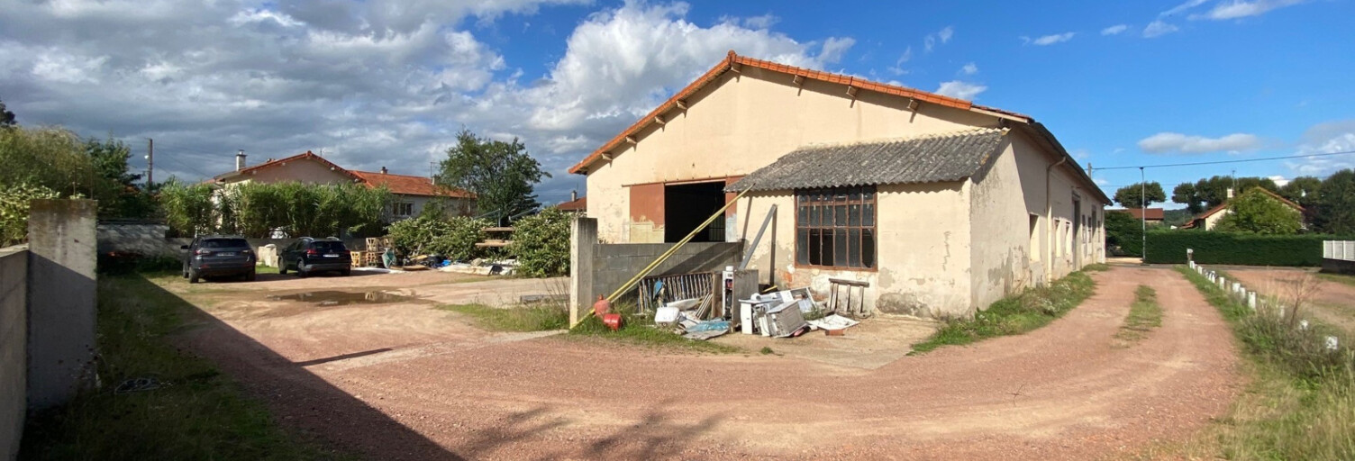 Divers 1 Pièce 214 m² à vendre à Le Coteau (42120)