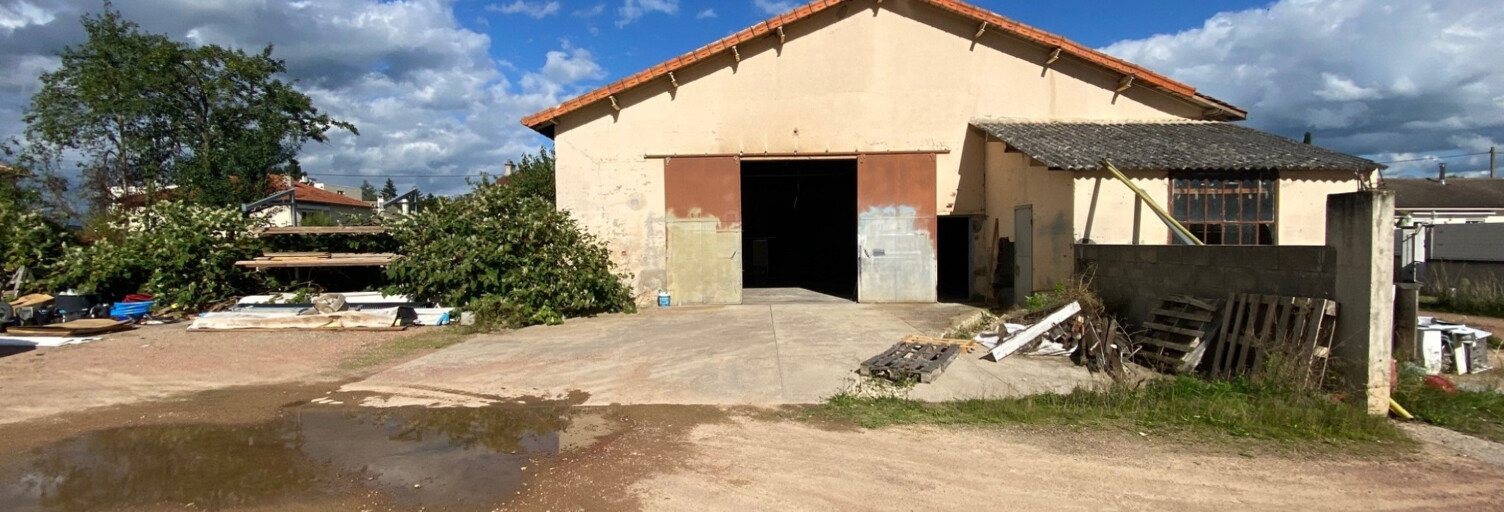 Divers 1 Pièce 214 m² à vendre à Le Coteau (42120)