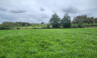 Terrain  2973 m² à vendre à Serres-Gaston (40700)