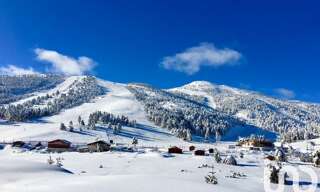 Appartement 1 Pièce 35 m² à vendre à Gréolières (06620)