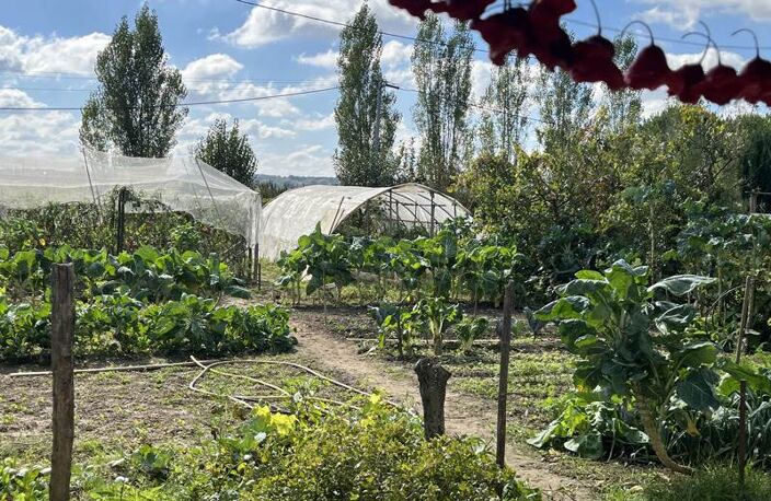 Vente maison 5 pièces 101 m² Marmande (47200) — photo 2