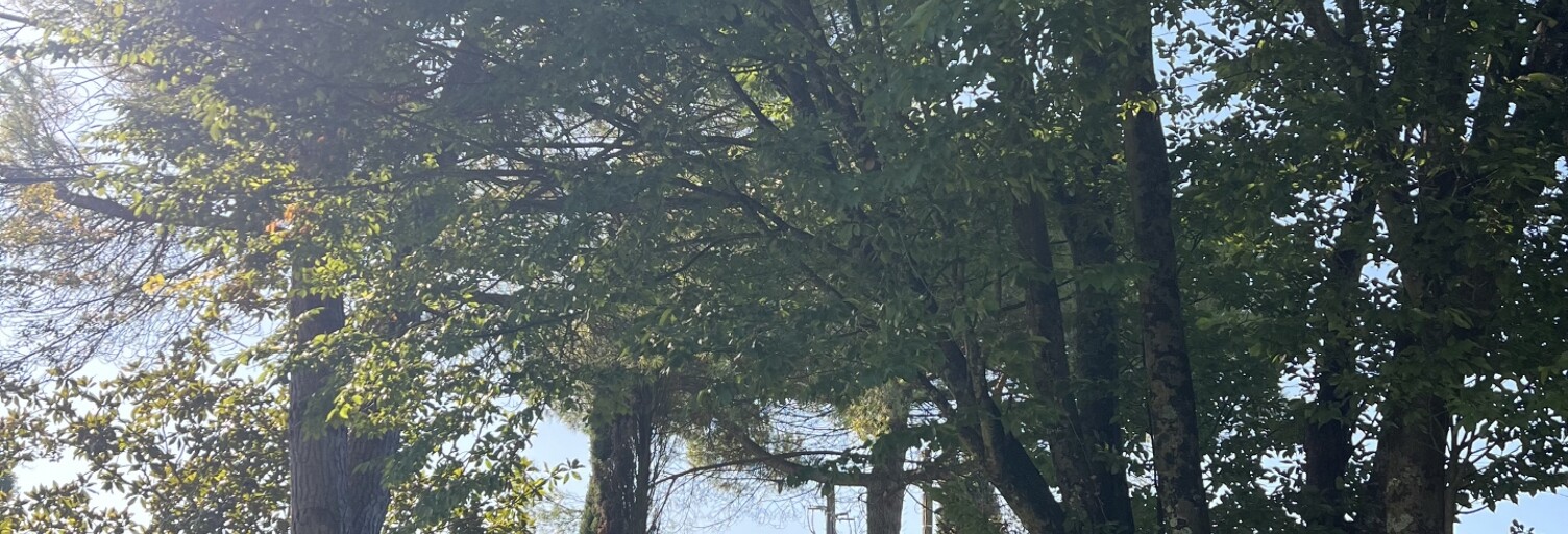 Maison 5 Pièces 142 m² à vendre à Croix-Chapeau (17220)