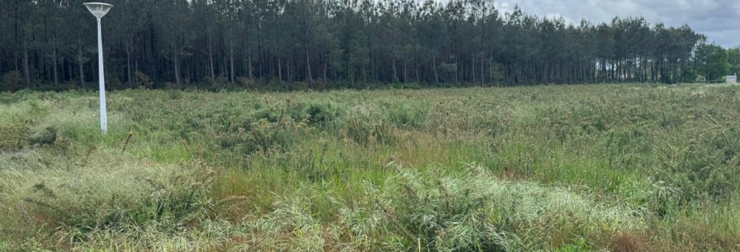 Terrain  648 m² à vendre à Azur (40140)