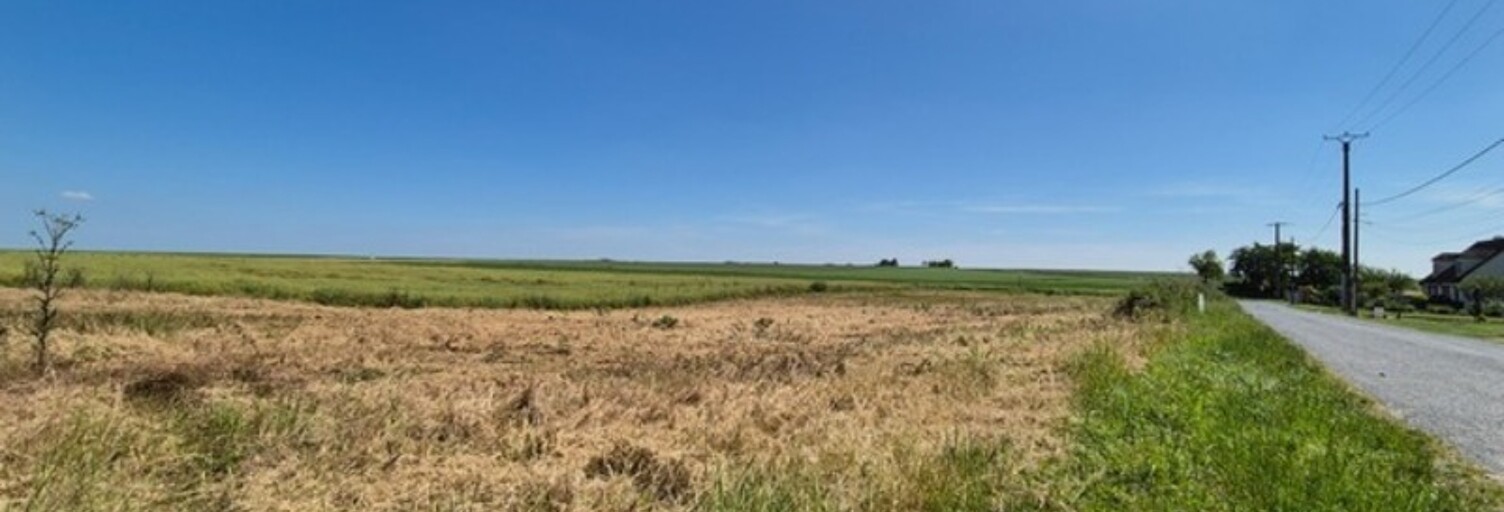 Terrain  600 m² à vendre à Plivot (51150)