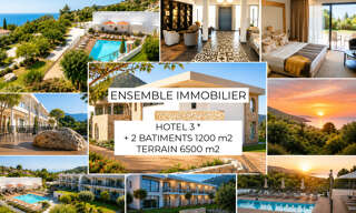 Commerce 20 Pièces 2320 m² à vendre à Corbara (20256)