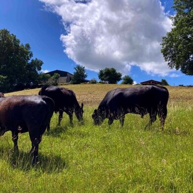 Maison 5 pièces 237000 €