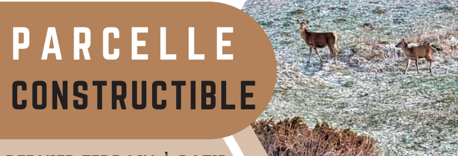 Terrain  1100 m² à vendre à Font-Romeu-Odeillo-Via (66120)