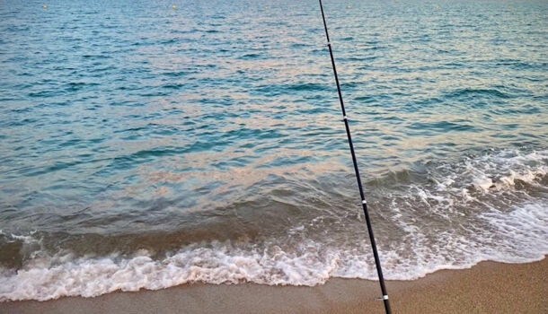 Villa / Maison 3 pièces  à vendre Saint-Aygulf 83370