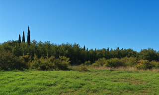 Terrain 866 m² à construire Monteux (84170)