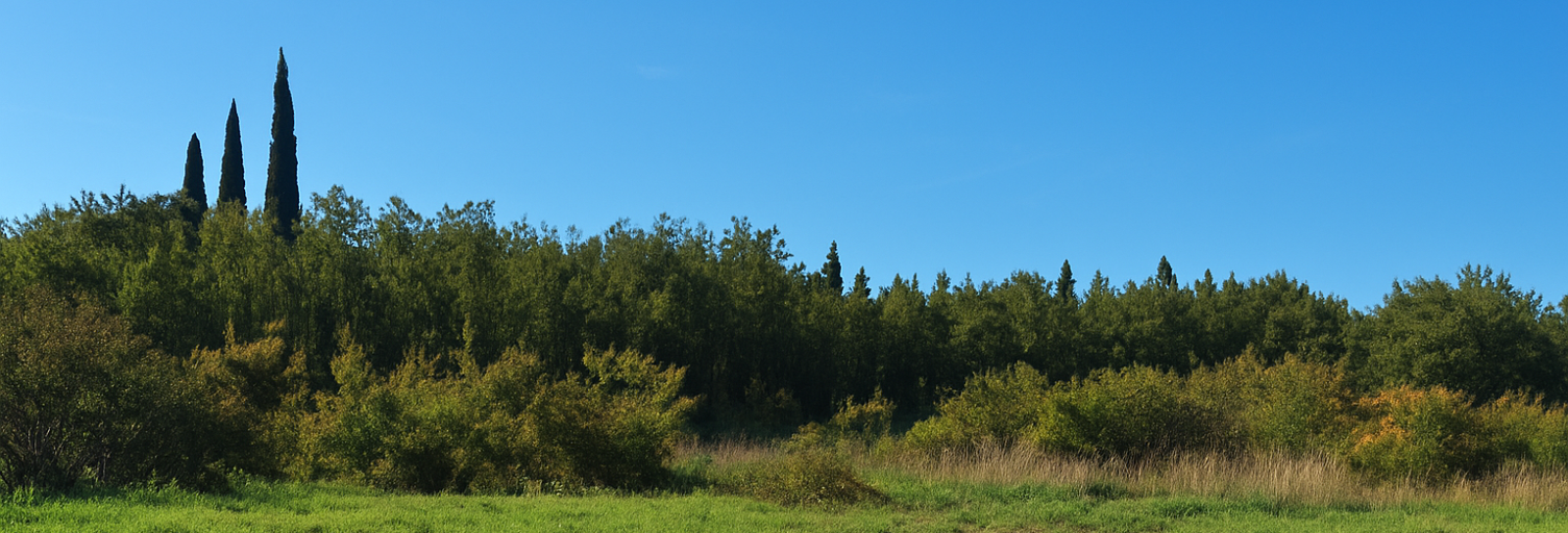 Terrain 866 m² à construire Monteux (84170)