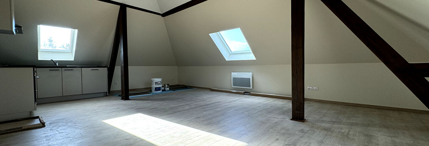 Appartement 3 Pièces 50 m² à louer à Mulhouse (68200)