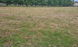 Terrain  585 m² à vendre à Brizambourg (17770)