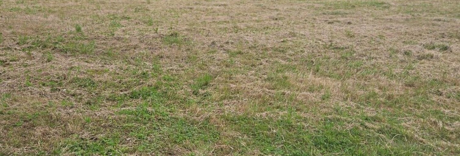 Terrain  585 m² à vendre à Brizambourg (17770)