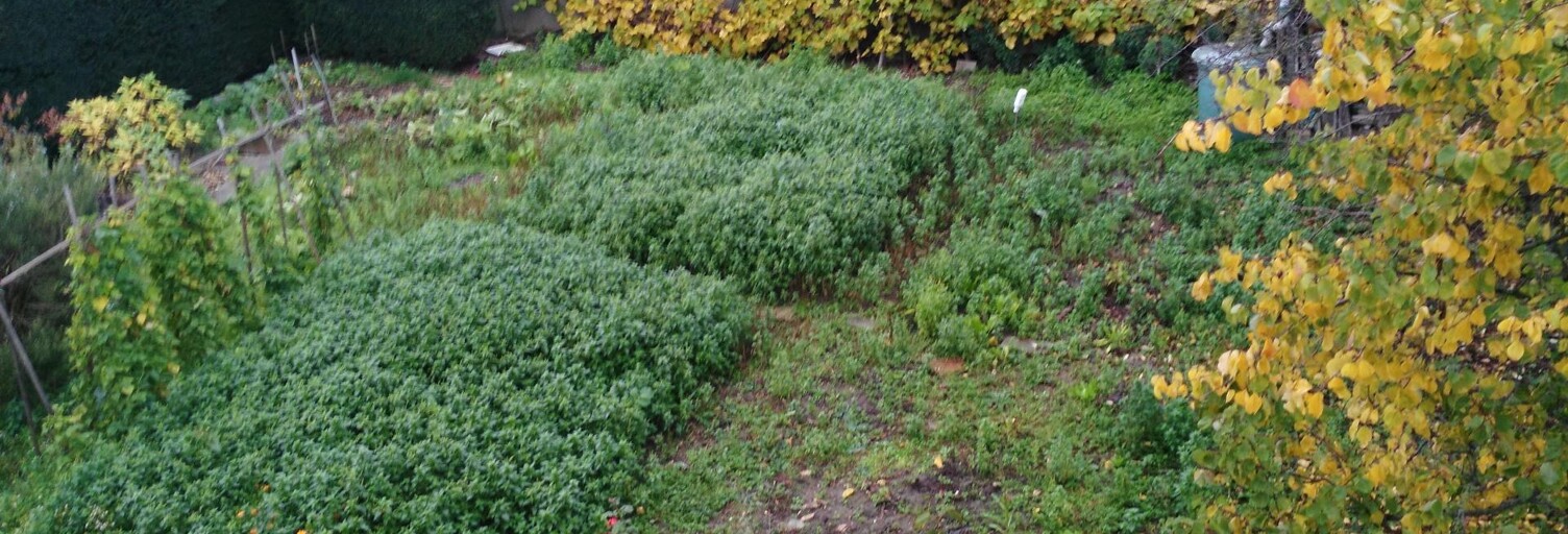 Terrain  256 m² à vendre à Garges-lès-Gonesse (95140)