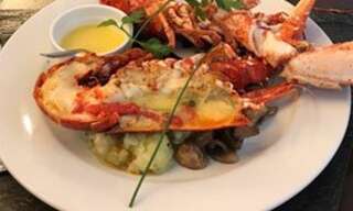 Commerce 1 Pièce 210 m² à vendre à Pleumeur-Bodou (22560)