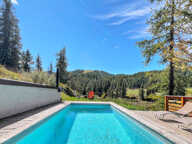 Chalet 385 m2 sur 2700 du terrain avec une piscine et jacuzz — photo 3