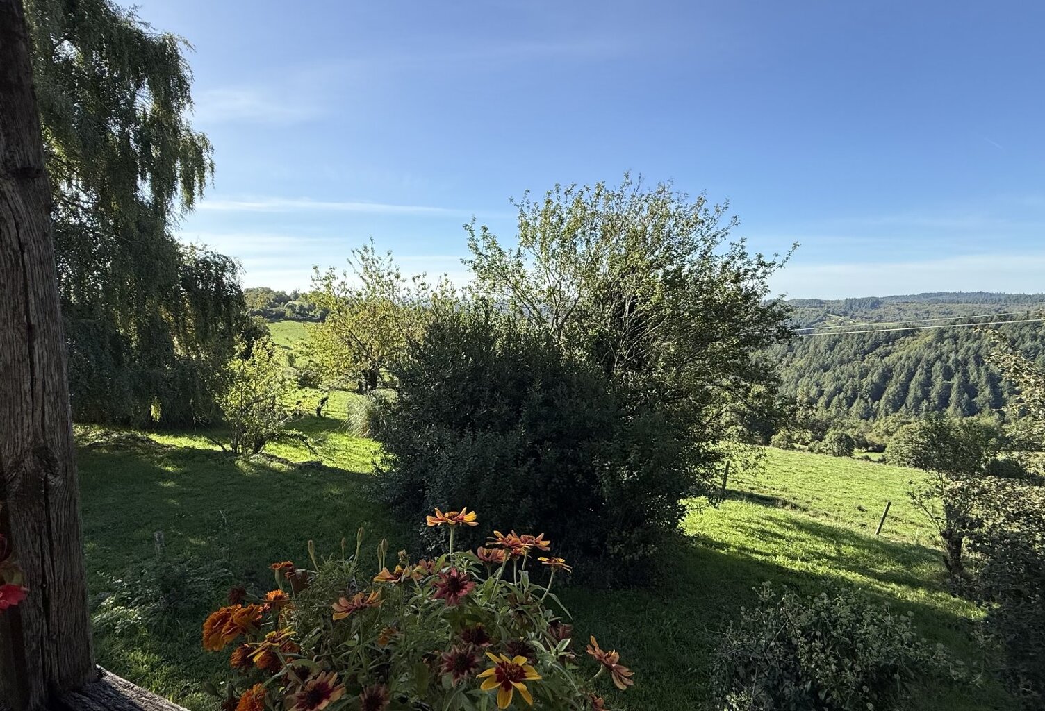Maison — photo 1