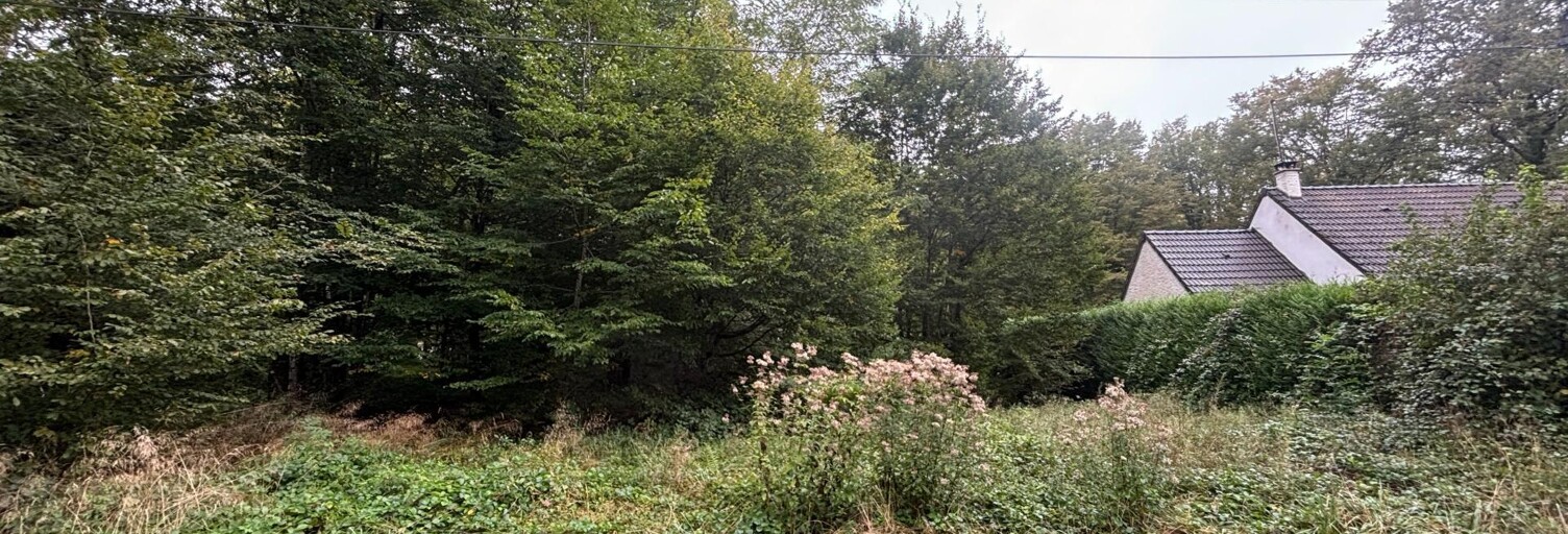 Terrain  1562 m² à vendre à Saint-Fargeau (89170)