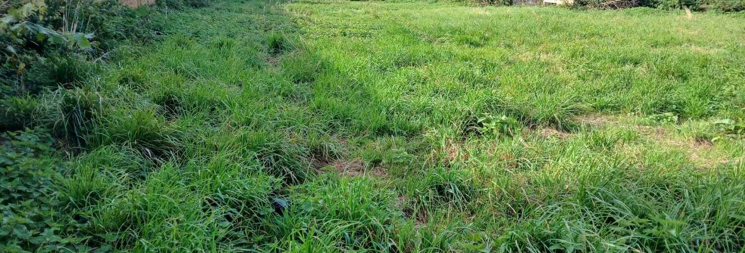 Terrain  735 m² à vendre à Le Neubourg (27110)