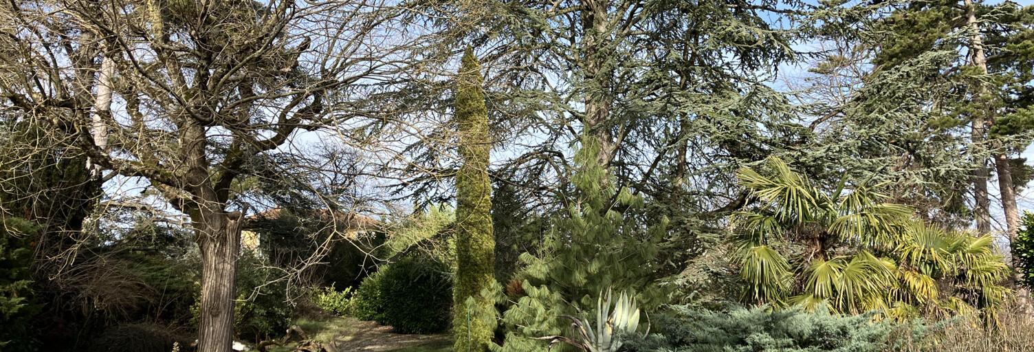 Terrain  1617 m² à vendre à Jonage (69330)