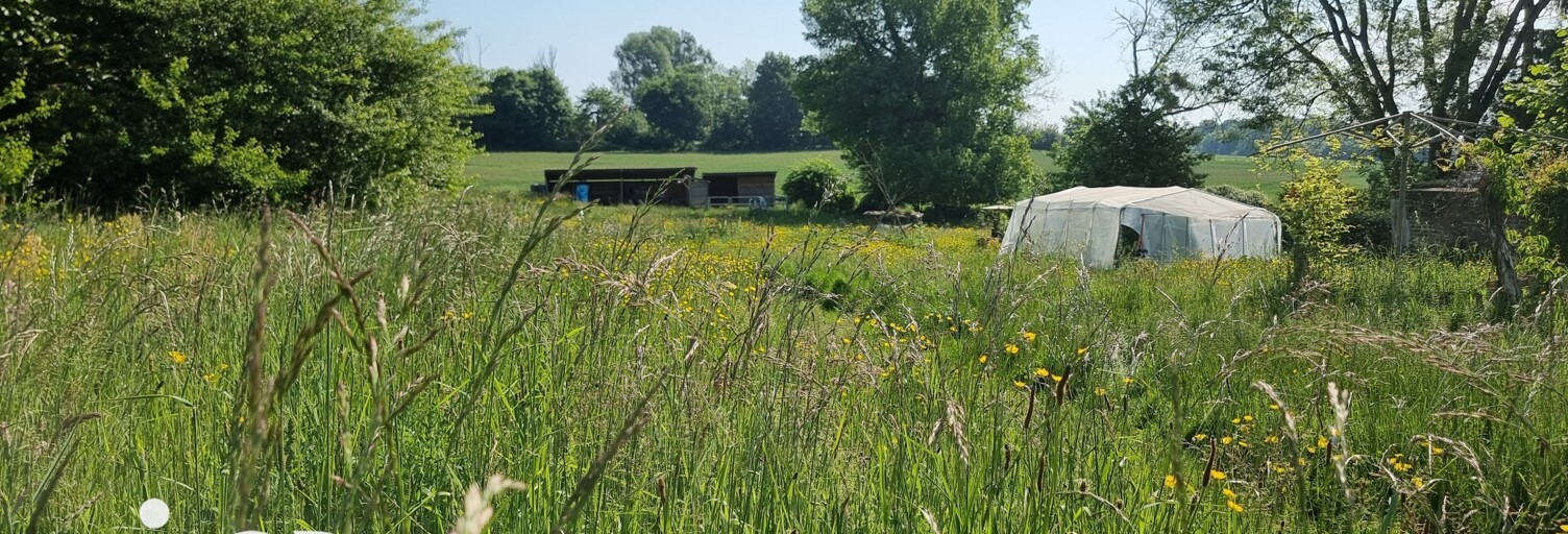 Terrain  5721 m² à vendre à La Neuville-en-Beine (02300)